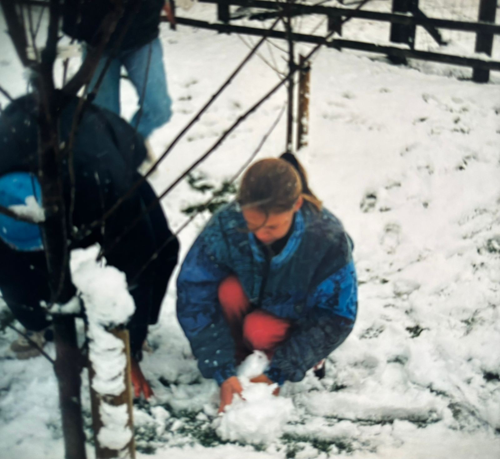 WhatsApp Image 2026-03-23 at 16.08.20.jpeg